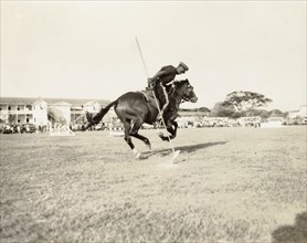 Mounted police tournament. A uniformed police officer identified as 'Constable Mitchell' rides his