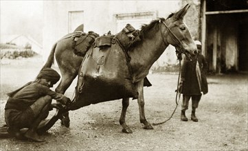 Water mule', India. A turbaned man crouches down to take water from a large leather water sack