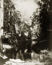 Fishing in a creek. Two men squat on the banks of a creek in the outback, holding fishing rods made
