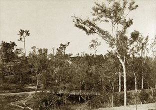Colonial homestead, Queensland. Distant view of a colonial homestead on a rise, glimpsed through