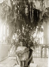 Marjory's Christmas Tree'. A young girl identified as 'Marjory' poses for the camera in front of an