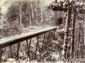 Railway viaduct and tunnel. A railway track runs across a narrow trestle bridge into a mountainside