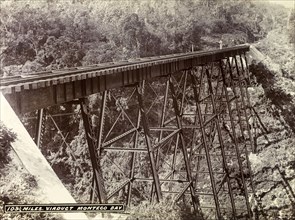 Railway viaduct near Montego Bay. A railway track runs across a narrow trestle bridge in a valley