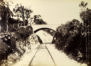 Port Antonio extension line. An arched road bridge crosses a stretch of railway track on the Port