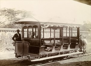 Horse-drawn tram, Jamaica. An open-sided tram is pulled along rails by two mules. Kingston,