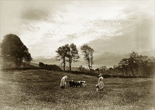 Feeding the Calves'. A copy of the Henry Peach Robinson's award-winning photograph, 'Feeding the
