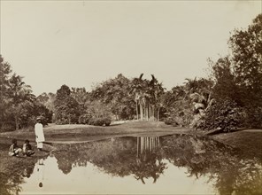 Pool in Eden Gardens. Three men relax beside the still waters of a pool in Eden Gardens. Calcutta