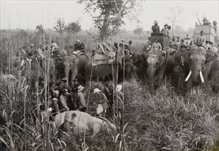 King George V's first rhinoceros. Members of a royal hunting party inspect the carcass of a