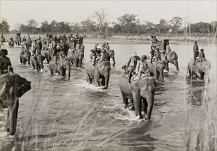 Crossing the river on elephants. A royal hunting party, hosted by the Maharajah of Nepal for King
