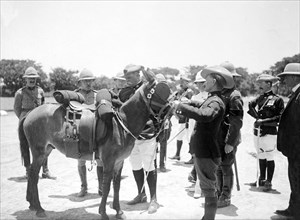 A donkey for the Duke of Connaught. Uniformed military personnel prepare a saddled donkey for the
