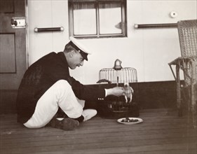 Caged parrot aboard the S.S. Balmoral Castle. A British naval officer sits cross-legged on the deck