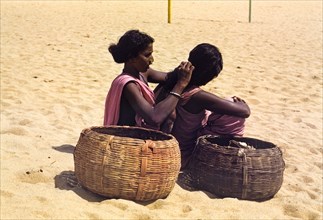 Grooming on an Indian beach. Two women dressed in pink saris sit on a sandy beach beside two large