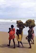 Women carrying bundles of twine. Four women wearing brightly coloured saris walk barefoot along an