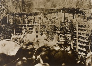 Maharajah and guests at the stockade. The Maharajah of Mysore (Krishna Raja Wadiyar IV, 1884-1940)