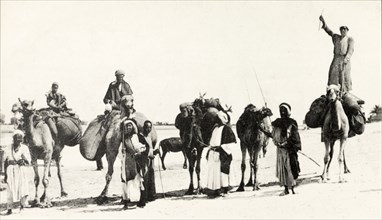 Bedouins in Egypt. A group of traditionally dressed Arab bedouins pose for the camera, mounted on