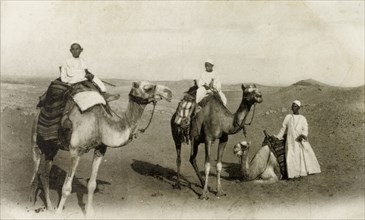 Camel riding, Egypt. An Arab man and two boys ride camels in the desert. Egypt, circa 1925. Egypt,