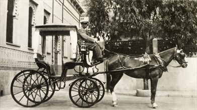 Hackney carriage, Gibraltar. A horse-drawn hackney carriage waits outside a building in a city