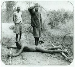 Flogging with a 'chicotte'. A mercenary working for King Leopold II's government, flogs a naked