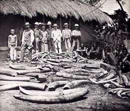 A herd destroyed'. A group of European men pose beside a haul of ivory: their Congolese slaves