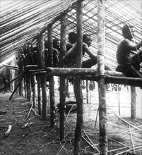 Slaves constructing a roof. Congolese slaves sit on the supporting timbers of a new building as