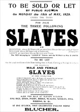 US slave sale poster. Poster advertising the public auction of 14 slaves. United States of America,