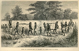 An African slave caravan. A book illustration depicts a caravan of African slaves, tethered