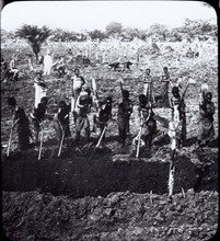 Female slaves dig a trench. A line of female slaves dig a massive trench by hand, whilst others