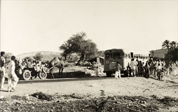 Old versus new. A camel-drawn passenger cart meets a public bus travelling in the opposite