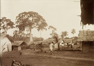 A village on the island of Bioko. View of a village on the island of Bioko, showing a line of