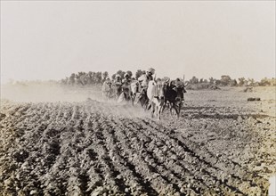 Tilling the land at Sukkur. Farm labourers till the land, guiding cattle-drawn ploughs through the