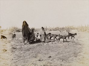 Goat herding in India. An Indian woman wearing a wraparound cloak is accompanied by two young