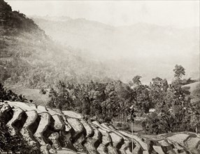 Terraced rice fields, Ceylon. View across a misty mountain valley showing terraced rice fields.