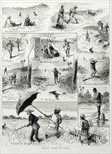 British hunters in India. A light-hearted illustration taken from 'The Graphic' newspaper depicts