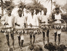 Displaying trophies from a snipe hunt. Five Indian servants, possibly 'shikaris' (traditional