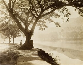 The lake at dusk, Kandy. Hazy sunshine filters through trees growing on the banks of the lake at