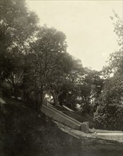 In the grounds of Government House, Perth. A stone staircase in the gardens of Perth's Government