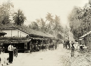 Street scene in Colombo. A busy street scene in Colombo. Colombo, Ceylon (Sri Lanka), circa 1901.