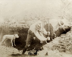 Digging for gold at Coolgardie. Two miners work with pickaxes in an external trench at a Coolgardie