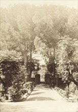 Side entrance to Government House, Perth. Tall trees surround a low gateway, a side entrance