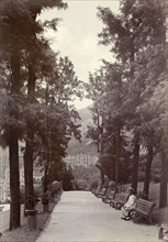 Promenade at Hong Kong's Botanical Gardens. View along a promenade lined with trees and benches in