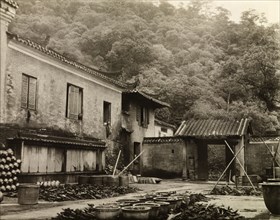 Woodyard at a Guangdong monastery. A woodyard, located at the rear of a hillside monastery, is