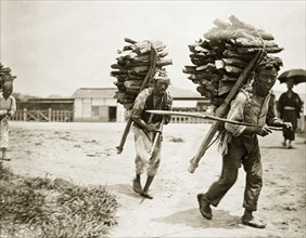 Korean labourers transporting firewood. Two Korean labourers carry large bundles of firewood,