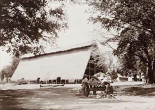 Tobacco curing shed. A large A-frame tobacco shed with a thatched roof provides a well-ventilated