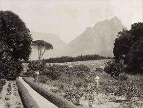 Cecil Rhodes' rose garden. View over Cecil Rhodes' rose garden looking towards Table Mountain and
