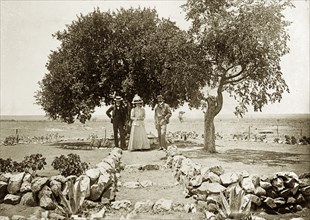 Lobengula's tree'. Captain Arthur Lawley (1860-1932) on the left, Lady Annie Lawley (1863-1944),