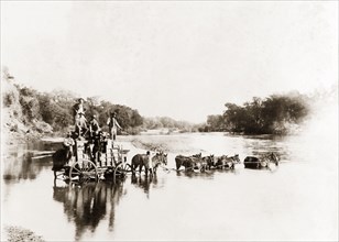 Crossing the Limpopo River. A coach and a team of mules cross the Limpopo River on the border
