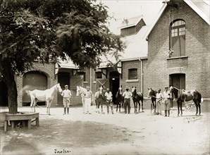 Stables at Government House, Bulawayo. Grooms line up in a row with horses outside the stables at