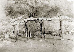 African porters, Rhodesia. Four African porters walk in line, carrying long bundles tied to poles