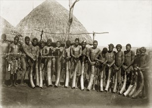 Ivory haul from Katanga. A line of African men pose for the camera, each holding a large elephant