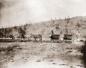Horse pulling mine carts at Kimberley. A horse pulls two mine carts along a small gauge rail track